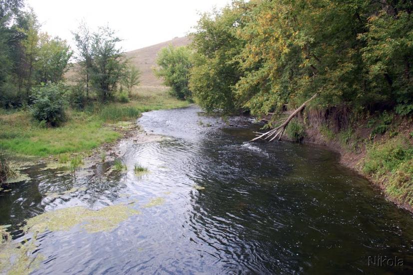 Безгинове з panoramio.com - Безгинове