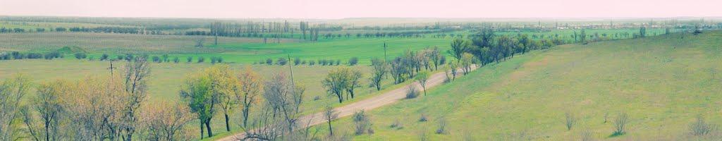 Берегове з panoramio.com - Берегово