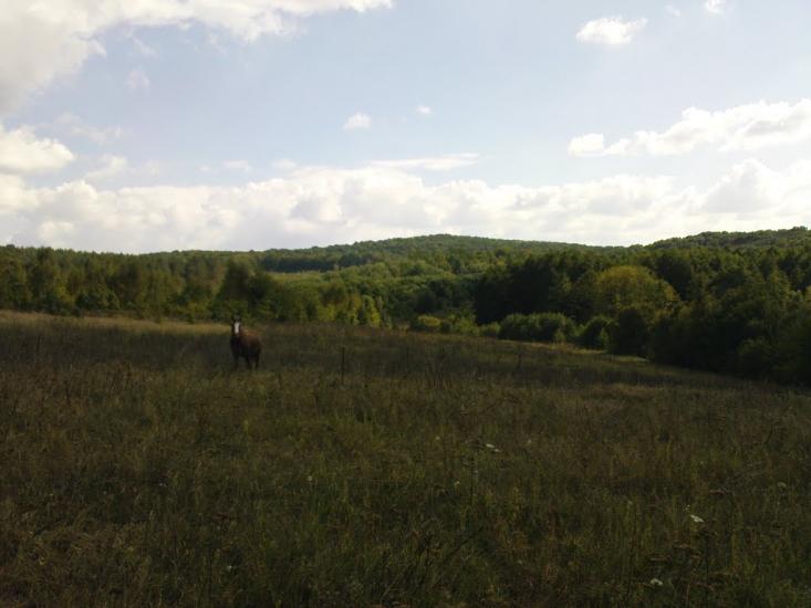 Лубенці з panoramio.com - Лубенцы