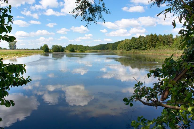 Чапаєвка з panoramio.com - Чапаевка