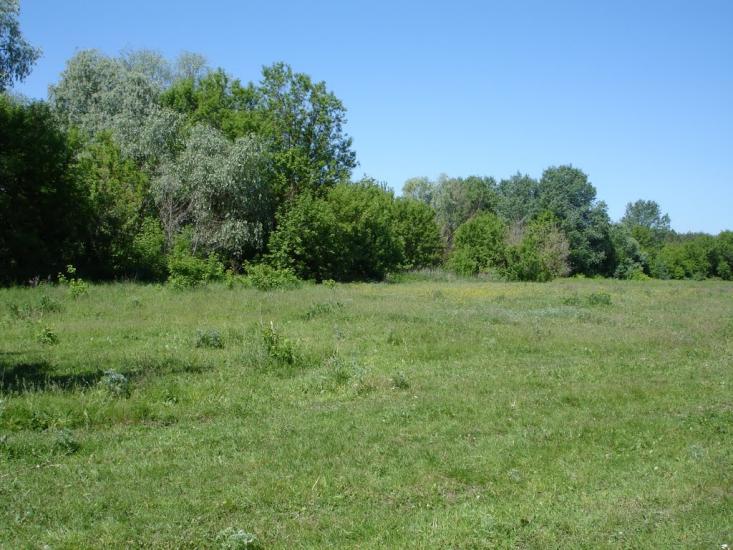 Велика Рибиця з panoramio.com - Великая Рыбица