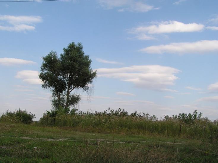 Красна Коса з panoramio.com - Красна Коса