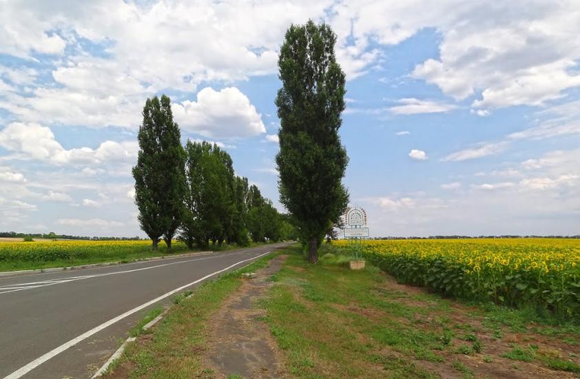 Суха Балка з panoramio.com - Суха Балка