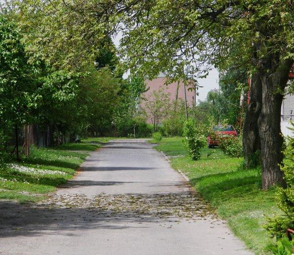 Угнів з panoramio.com - Ugniv