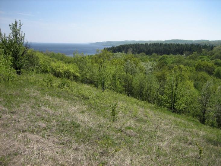 Григорівка з panoramio.com - Григоровка
