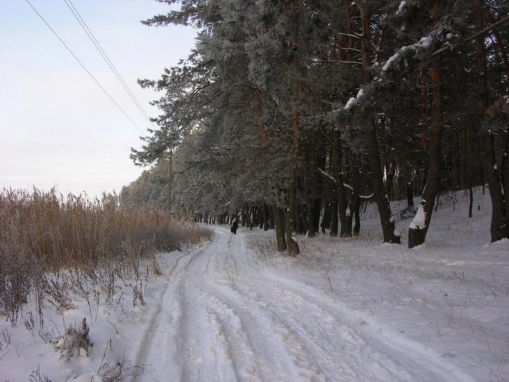 Крейдянка з panoramio.com - Крейдянка