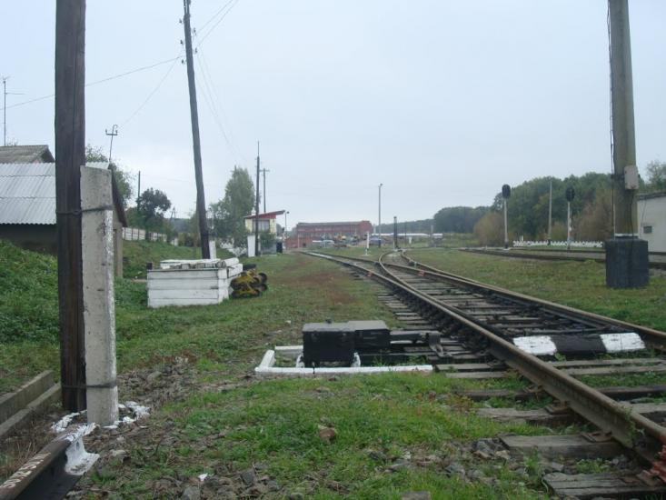 Буйволівці з panoramio.com - Буйволівці