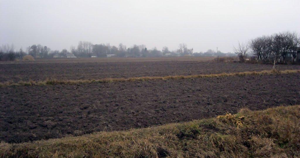 Крилів з panoramio.com - Крилів