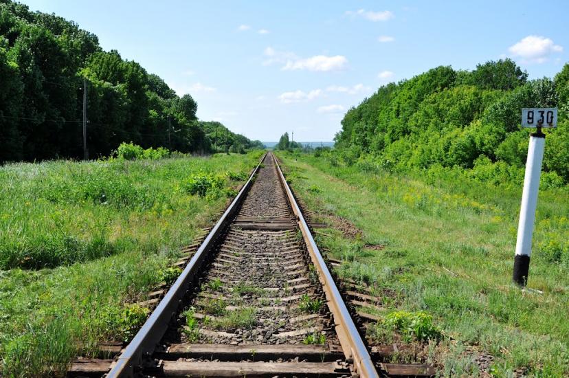 Царівка з panoramio.com - Царевка