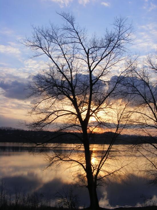 Жашків з panoramio.com - Zhashkiv