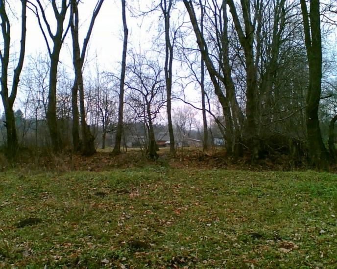 Люлинці з panoramio.com - Люлинцы