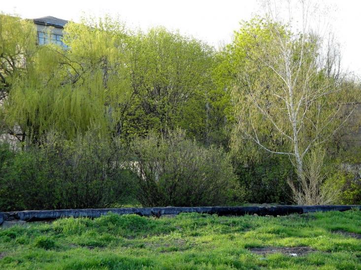 Менжинське з panoramio.com - Менжинское