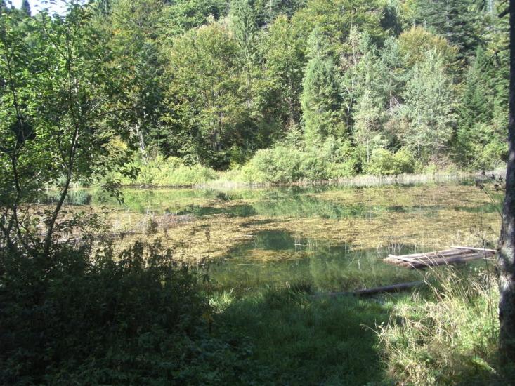 Труханів з panoramio.com - Trukhaniv