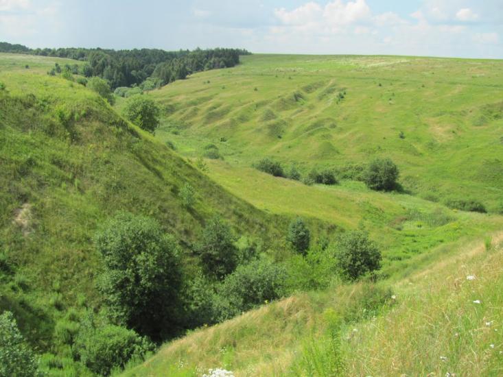 Дермань Перша з panoramio.com - Дермань Перша