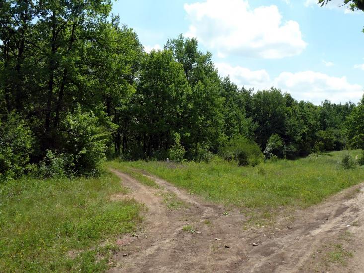 Олександрівка з panoramio.com - Александровка