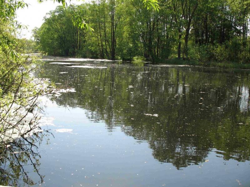 Липова Долина з panoramio.com - Липова Долина