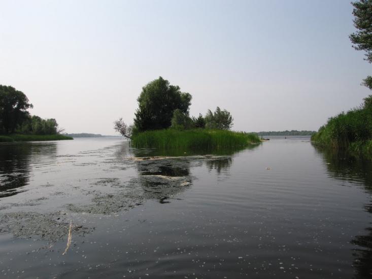 Кривуші з panoramio.com - Кривуши