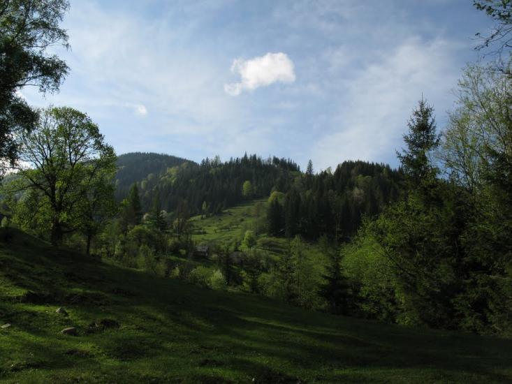 Красник з panoramio.com - Красник