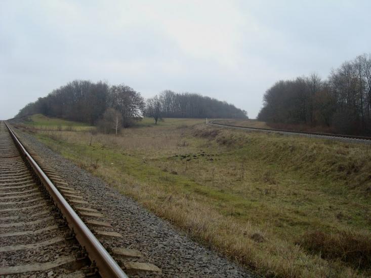 Воронківці з panoramio.com - Воронковцы