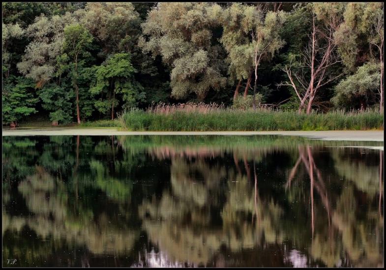 Черемушне з panoramio.com - Черемушное