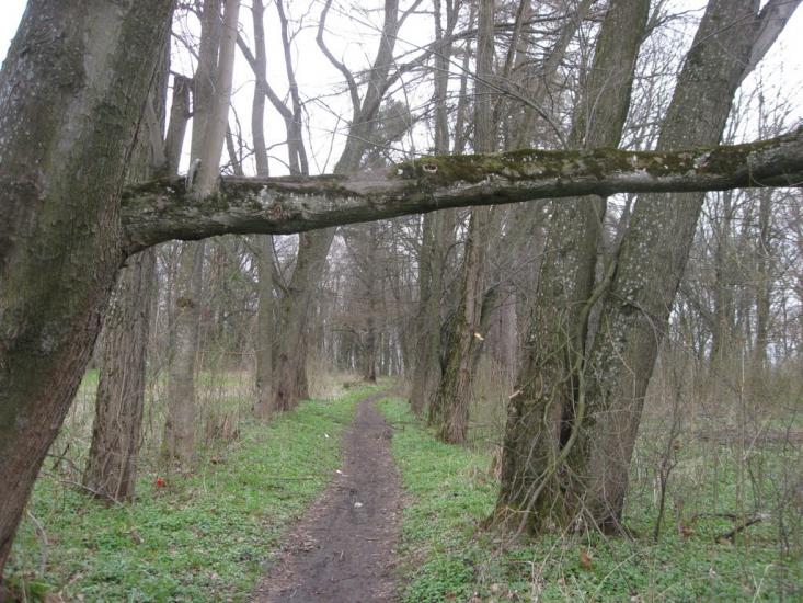 Переможне з panoramio.com - Переможне