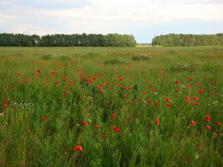 Клітчин з panoramio.com - Клетчин