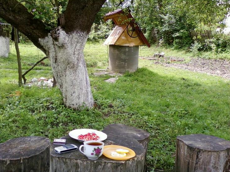 Великі Глібовичі з panoramio.com - Великие Глебовичи