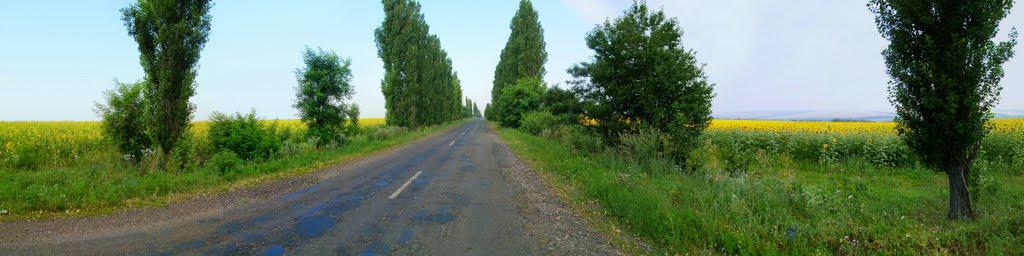 Доманівка з panoramio.com - Доманевка