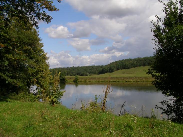Воробіївка з panoramio.com - Vorobiyivka