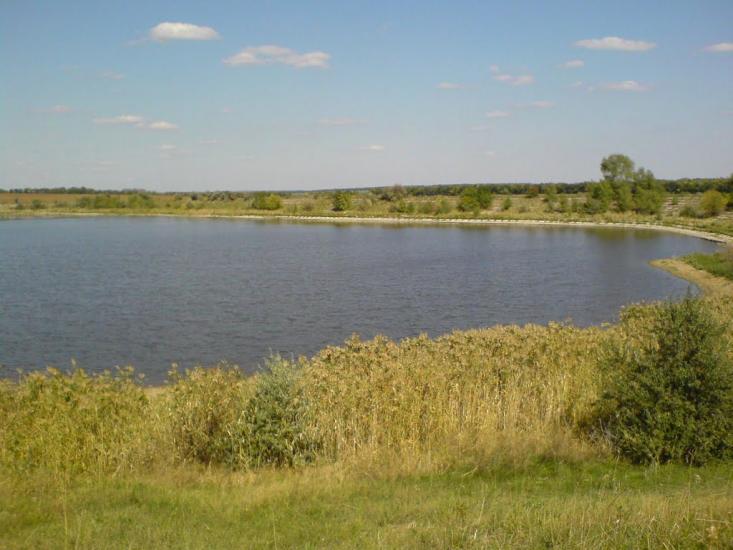 Гаврилівка з panoramio.com - Гавриловка