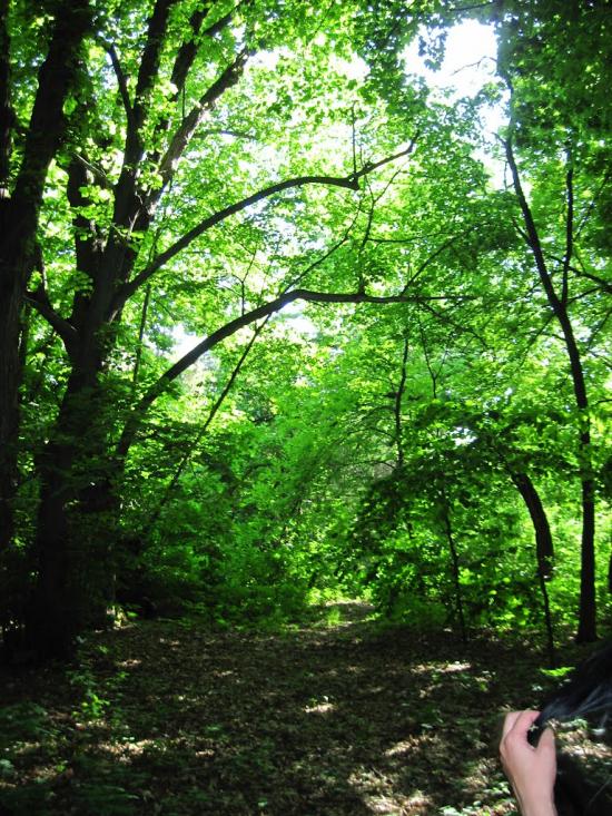 Бабичівка з panoramio.com - Бабичівка