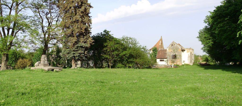 Черниця з panoramio.com - Черниця