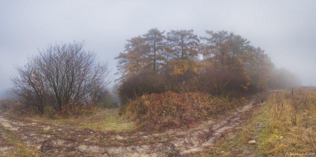 Мишковичі з panoramio.com - Мышковичи