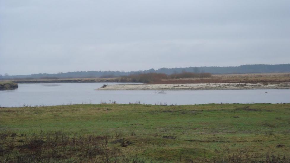 Висоцьк з panoramio.com - Висоцьк