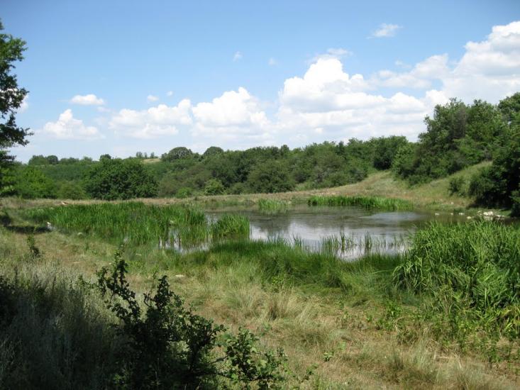 Рєпіне з panoramio.com - Рєпіне