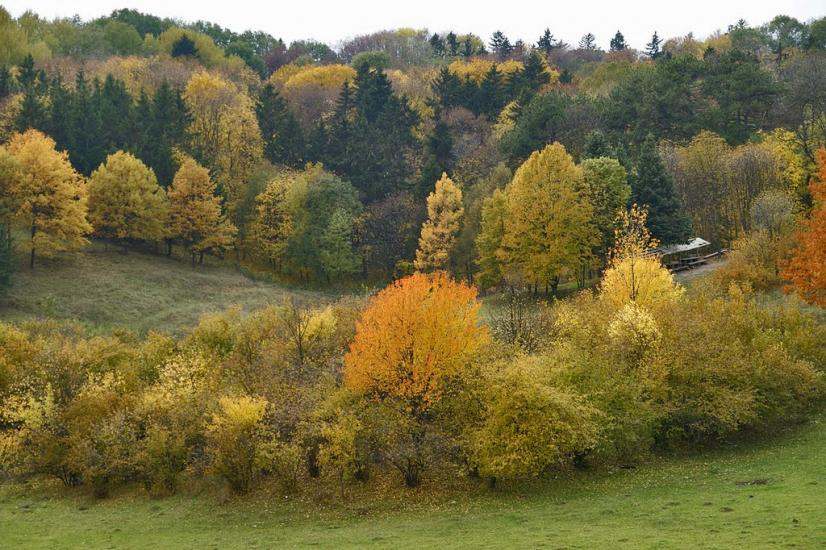 Краснокутськ з panoramio.com - Краснокутск