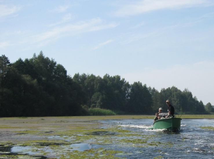 Сорокошичі з panoramio.com - Сорокошичи