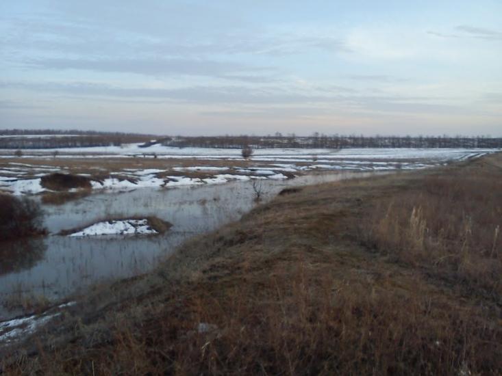 Данилівка з panoramio.com - Даниловка