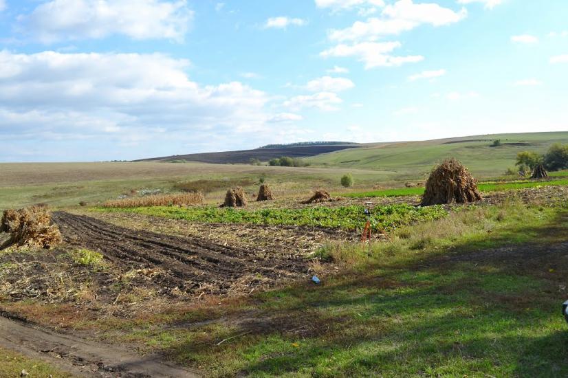 Подвір'ївка з panoramio.com - Подворьевка