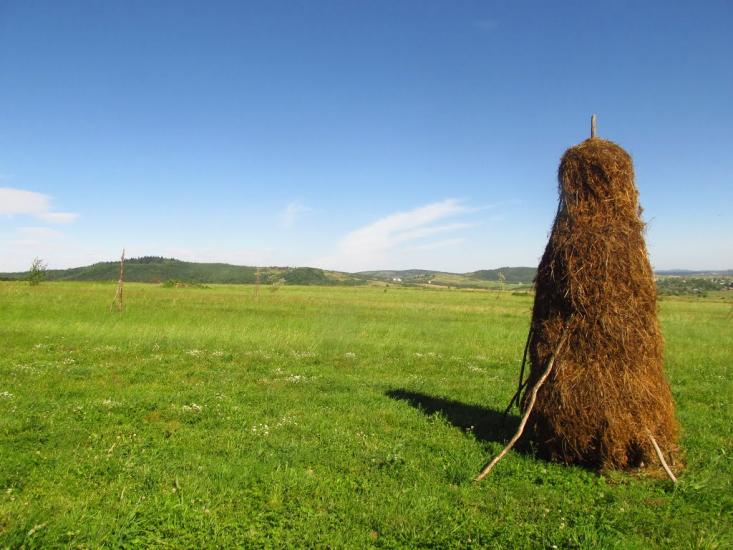 Бабче з panoramio.com - Бабче