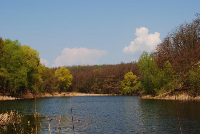Халеп'я з panoramio.com - Халепье