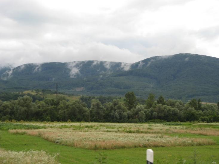 Драчино з panoramio.com - Драчино