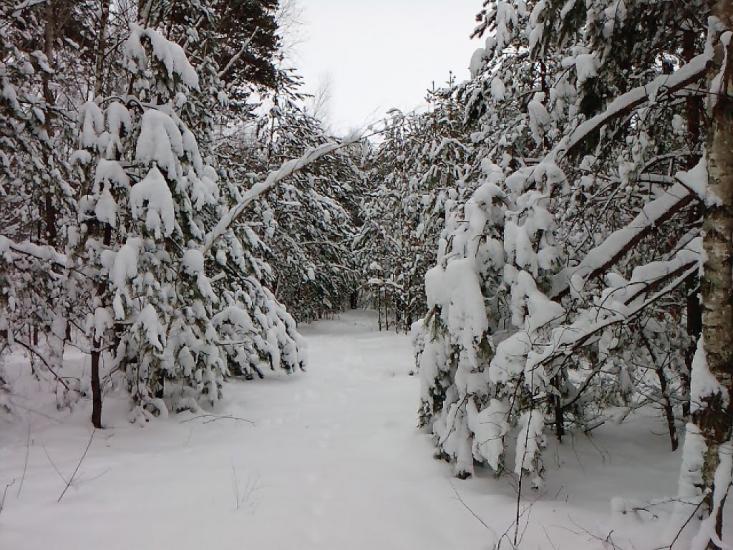 Андріївка з panoramio.com - Андреевка
