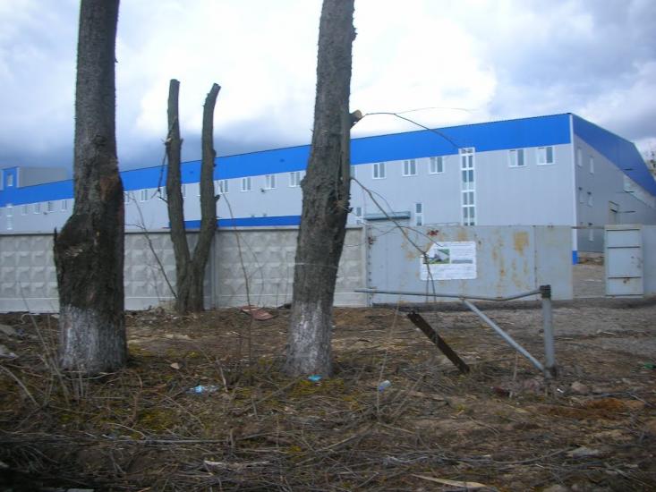 Петрівське з panoramio.com - Петрівське