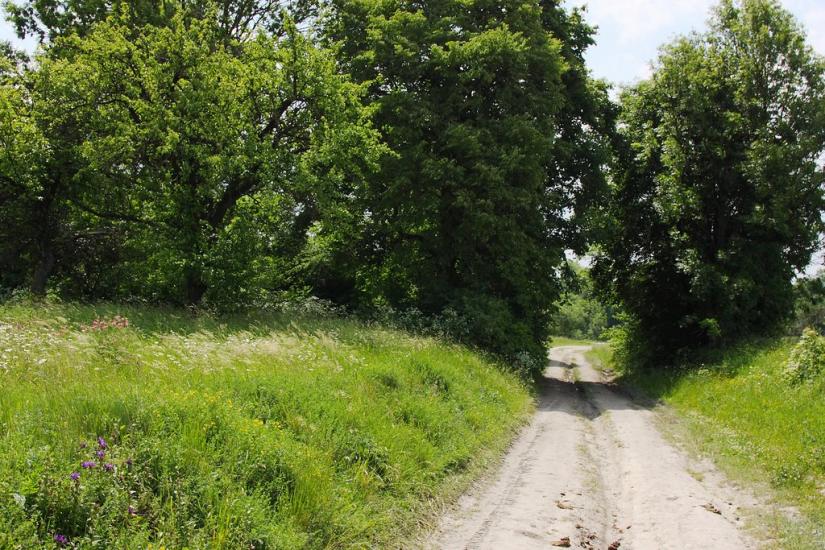 Ушня з panoramio.com - Ушня