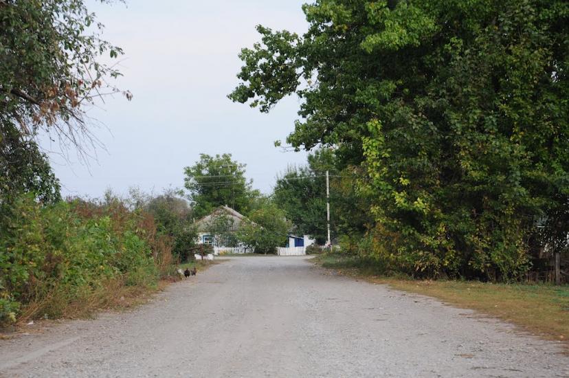 Тхорівка з panoramio.com - Тхорівка