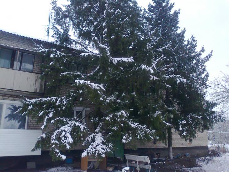 Новоганнівка з panoramio.com - Новоганновка