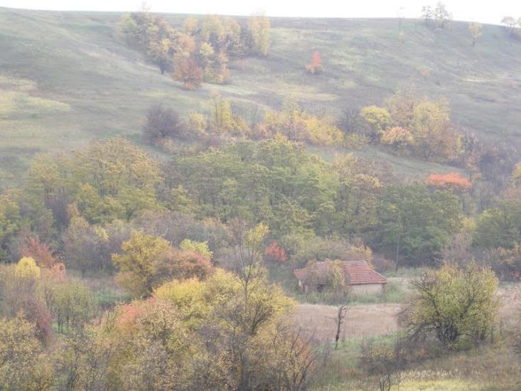 Слиньків Яр з panoramio.com - Слиньків Яр