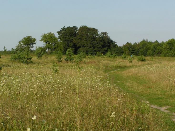 Бондарівка з panoramio.com - Бондарівка