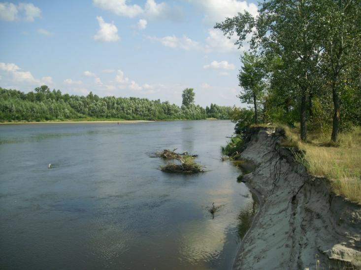 Вища Дубечня з panoramio.com - Высшая Дубечня
